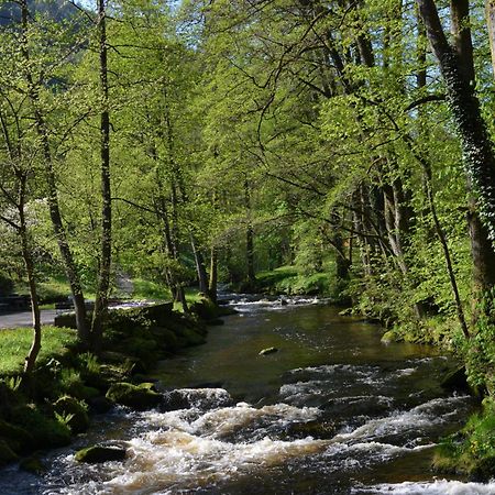 Wildbad Luft Apartamento Bad Wildbad Exterior foto