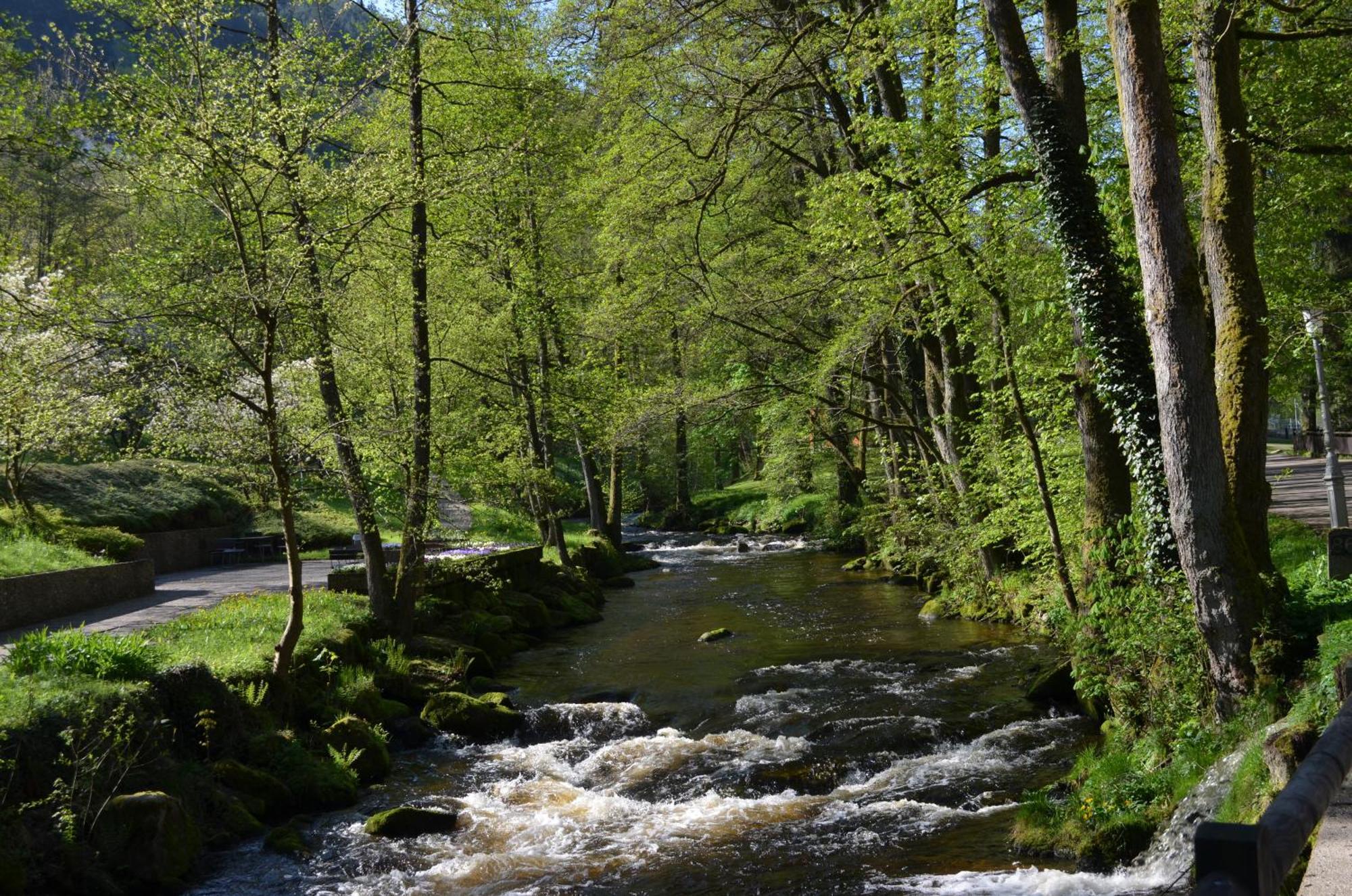Wildbad Luft Apartamento Bad Wildbad Exterior foto